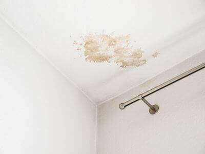About Black Mold Removal Springfield - black mold removal experts in Springfield